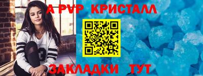 индика Сланцы