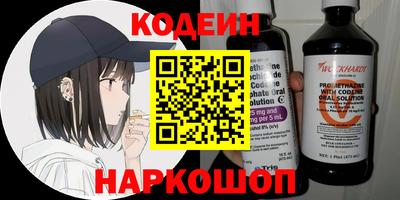 индика Сланцы