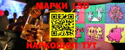 индика Сланцы