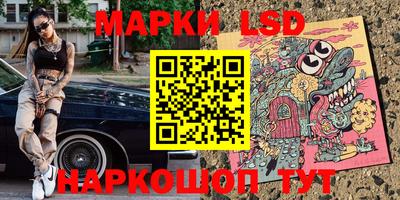 индика Сланцы