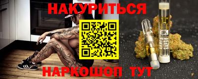 индика Сланцы