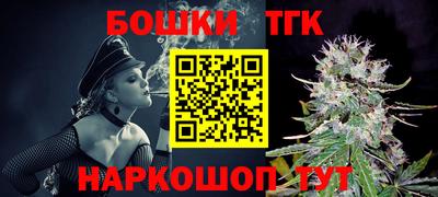 индика Сланцы