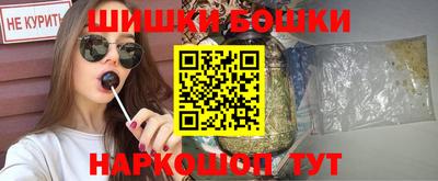индика Сланцы