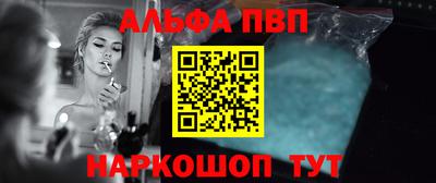 индика Сланцы