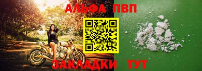 индика Сланцы