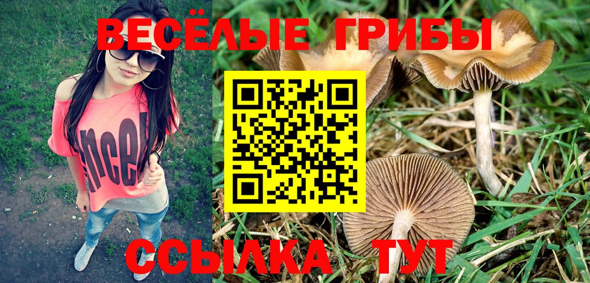 Ревда  Псилоцибиновые грибы ЛСД  Вход с VPN 